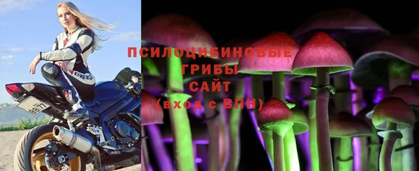 гидропоника Лагань