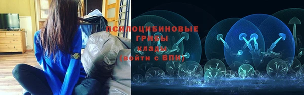2c-b Ладушкин