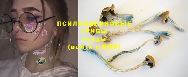 2c-b Ладушкин