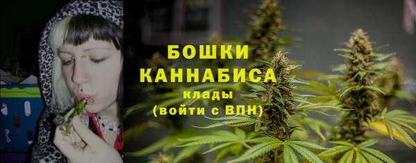 гидропоника Лагань