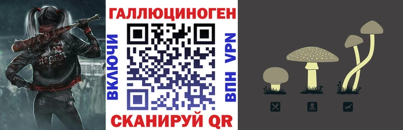 Галлюциногенные грибы MAGIC MUSHROOMS  как найти   Суздаль 